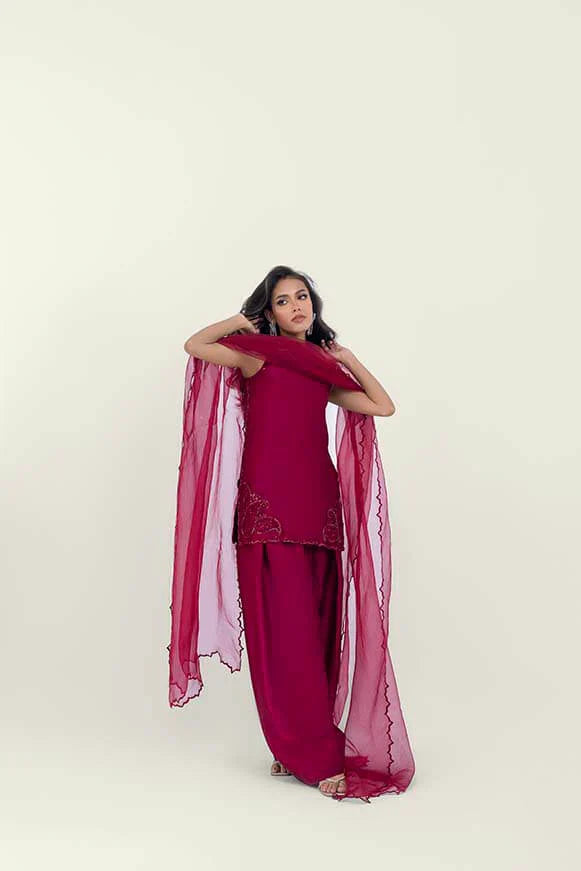 Morello Farshi Salwar Set
